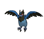 todos los tipos de pokemon