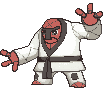 meilleur pokemon de type combat