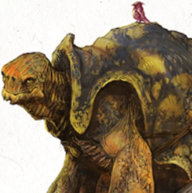 tortle names