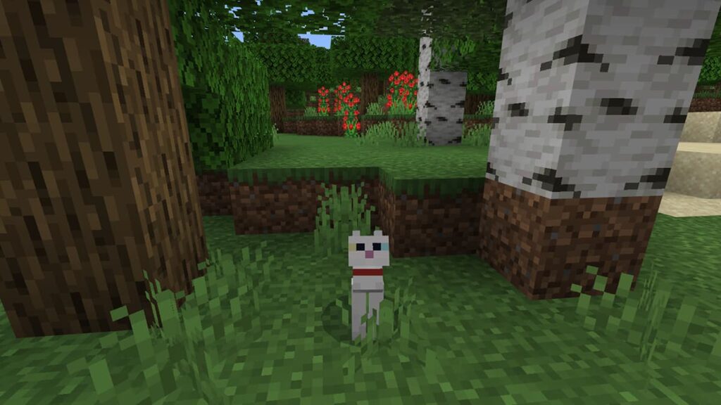 6 Important FAQs to Know About Cats in Minecraft