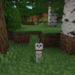 Meilleur générateur de noms 5 6 FAQ importantes à connaître sur les chats dans Minecraft