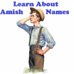 Mejor generador de nombres 6 nombres amish
